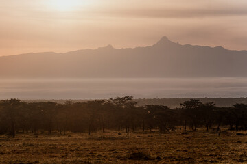 Dawn breaks over misty Ol Pejeta with Mount Kenya