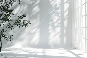 Minimal white light and shadow background.
A serene white background with gentle light.
