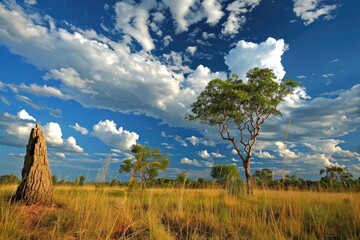 Obraz premium Massive Cathedral of Termite Mounds in the Outback of National Park, Surrounded by Nature