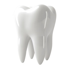 Dental 3d model of premolar tooth as a concept of dental examination teeth, dental health and hygiene. 3d rendering illustration isolated on white background.