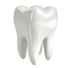 Dental 3d model of premolar tooth as a concept of dental examination teeth, dental health and hygiene. 3d rendering illustration isolated on white background.