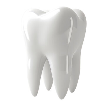 recommend clip art: Dental 3d model of premolar tooth as a concept of dental examination teeth, dental health and hygiene. 3d rendering illustration isolated on white background.