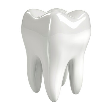 recommend clip art: Dental 3d model of premolar tooth as a concept of dental examination teeth, dental health and hygiene. 3d rendering illustration isolated on white background.