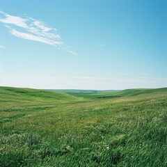 Obraz premium Grasslands are vast areas of land covered in grass and few trees.