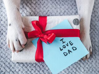 Beautiful gift box, dog paws and note with words of love to Father. View from above. Close-up, indoors. Congratulations for family, loved ones, friends and colleagues. Pet care concept