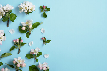 Spring horizontal banner with apple flowers on light blue background. Space for your text