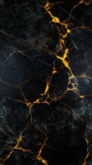 Black and gold marble texture with golden veins