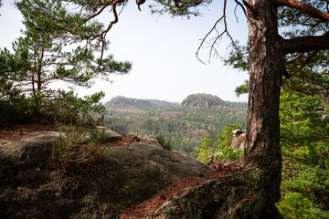 Fototapeta premium Landschaft im Nationalpark Sächsische Schweiz in Sachsen Deutschland