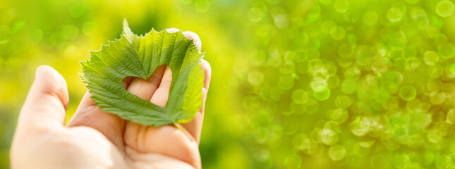 heart-shaped green leaf in female hand, background summer mood concept, seasonal rejuvenating power...