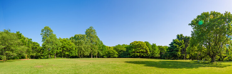千葉市・青葉の森公園の広場の芝生と木々