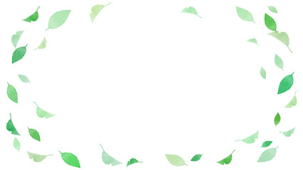 舞い散る葉　枠　飾り　素材　葉っぱ　新緑　若葉　グリーン　見出し　タイトル　囲み　シンプル　キラキラ　舞う　白背景　白バック　透過　16:9
