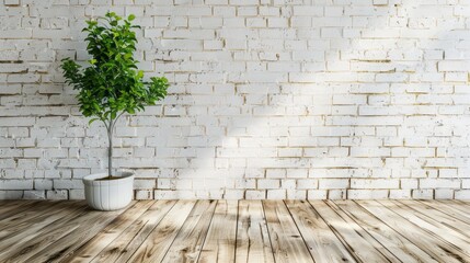 A white brick wall with a wooden floor and wall background. A small tree in a pot on side