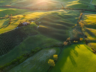 Aerial picture of a beautiful italian landscape full of rolling hills captured during sunset....