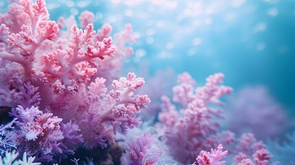 Mesmerizing Underwater Coral Formations in Pastel Hues