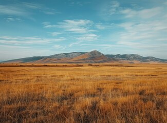Obraz premium Vast Grassland Landscape with Rocky Mountains in the Distance