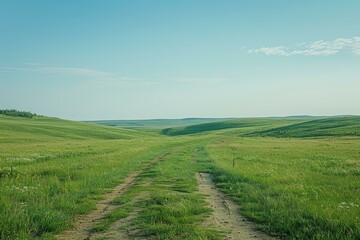 Obraz premium dirt road through a lush green grassy field