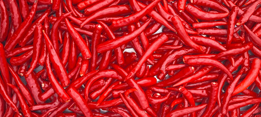Red chilli for spicy cooking, background