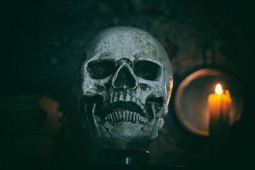 Creepy Human Skull on Dark Background