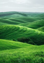 Picturesque green hills of Tuscany, Italy