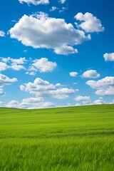 Fototapeta premium Green field and blue sky with white clouds