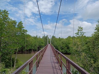 Fototapeta na wymiar suspension bridge over the river