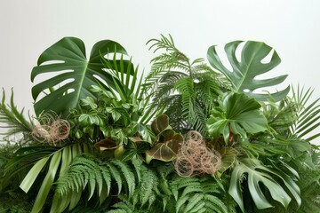 lush green tropical leaves and ferns
