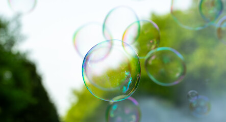 soap bubbles close-up on a background of sun and greenery, abstract background, positive mood,...