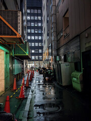 A street at night in Tokyo City during a rainy day, with a lot of artificial light