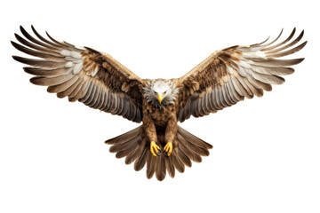 Fototapeta premium The image shows a majestic eagle with outstretched wings, soaring through the sky