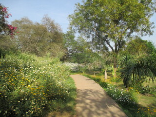 Buddha Jayanti Park, Delhi, India