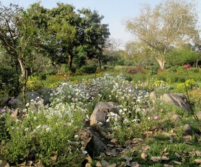 Buddha Jayanti Park, Delhi, India
