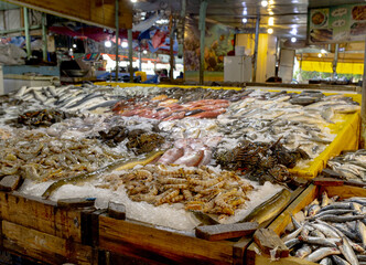 Colorful Egyptian Red Sea fish market