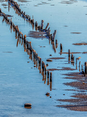 The remains of a bridge - Group of Wooden Posts in Water