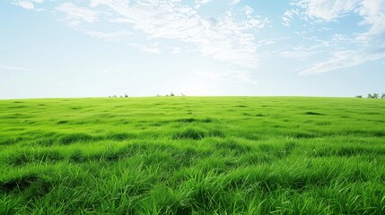 Obraz premium Photorealistic Landscapes: Large Green Grass Field with Blue Sky 