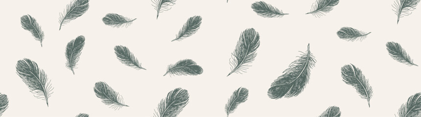 Feathers, Hand drawn sketch style.	
