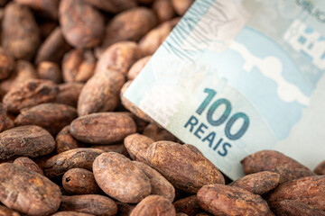 The highest quality cocoa seeds from a plantation in Brazil and a banknote of 100 Brazilian reais, financial and economic concept, rising cocoa prices in the world