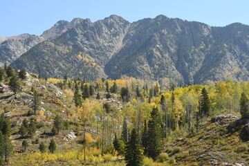 autumn leaves and mountain peaks