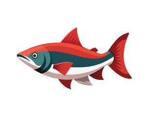 Obraz premium Cartoon colorful fish on white background, vector illustration