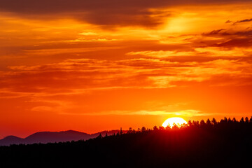 The rising sun on the silhouette of the forest, which colors the sky yellow and red.