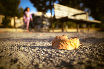 落ち葉