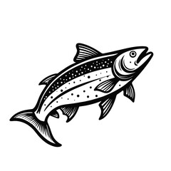 Salmon ink sketch style on white background, vector illustration