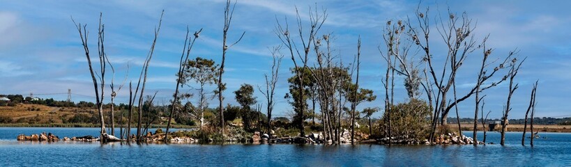 A panoramic image showing the little island inside Rietvlei Nature Reserve, Gauteng, South Africa.