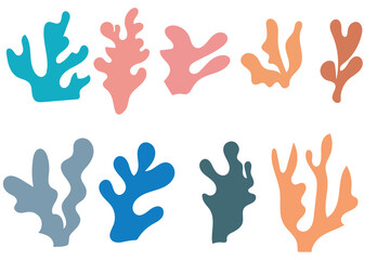 Algae set. Hand drawn collection of colored algae. Sea plants. Vector illustration.