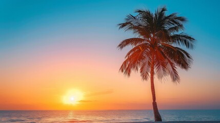 Silhouette Palm Tree on Beach at Sunset