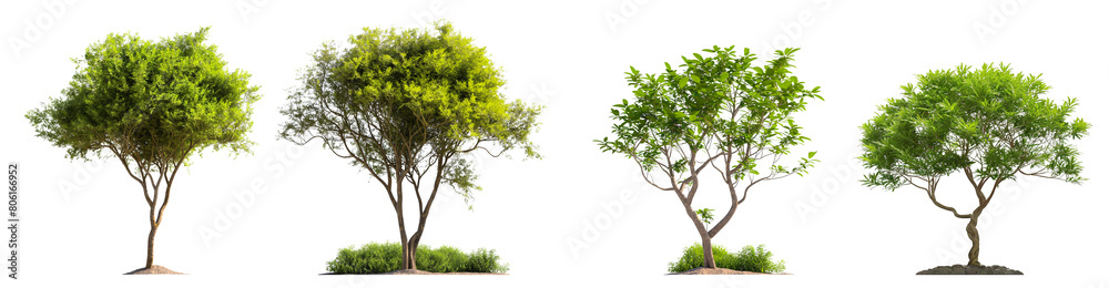 Poster set of transparent trees with soil in different styles isolated on white background, 3d rendering