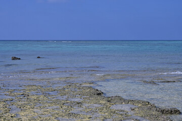 水平線と青空と碧い海と干潮時の海岸