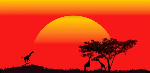 Fototapeten Rot Amazing sunset and sunrise.Panorama silhouette tree in africa with sunset. Dark tree on open field dramatic sunrise.Safari theme.Giraffes , Lion , Rhino ,Birds.  © Mohwet
