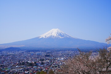 Mt. Fuji with Cherry Blossom or Pink Sakura Flower over Blue Sky in Yamanashi, Japan - 日本 山梨県 新倉山浅間公園 春の桜 富士山