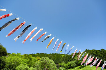 静岡県熱海市　姫の沢公園の鯉のぼりイベント