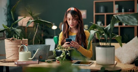Photography, app and girl with plants problem and research care, tips or learning gardening online. House, monstera and search questions in ai, chat or confused post on web with fern challenge
